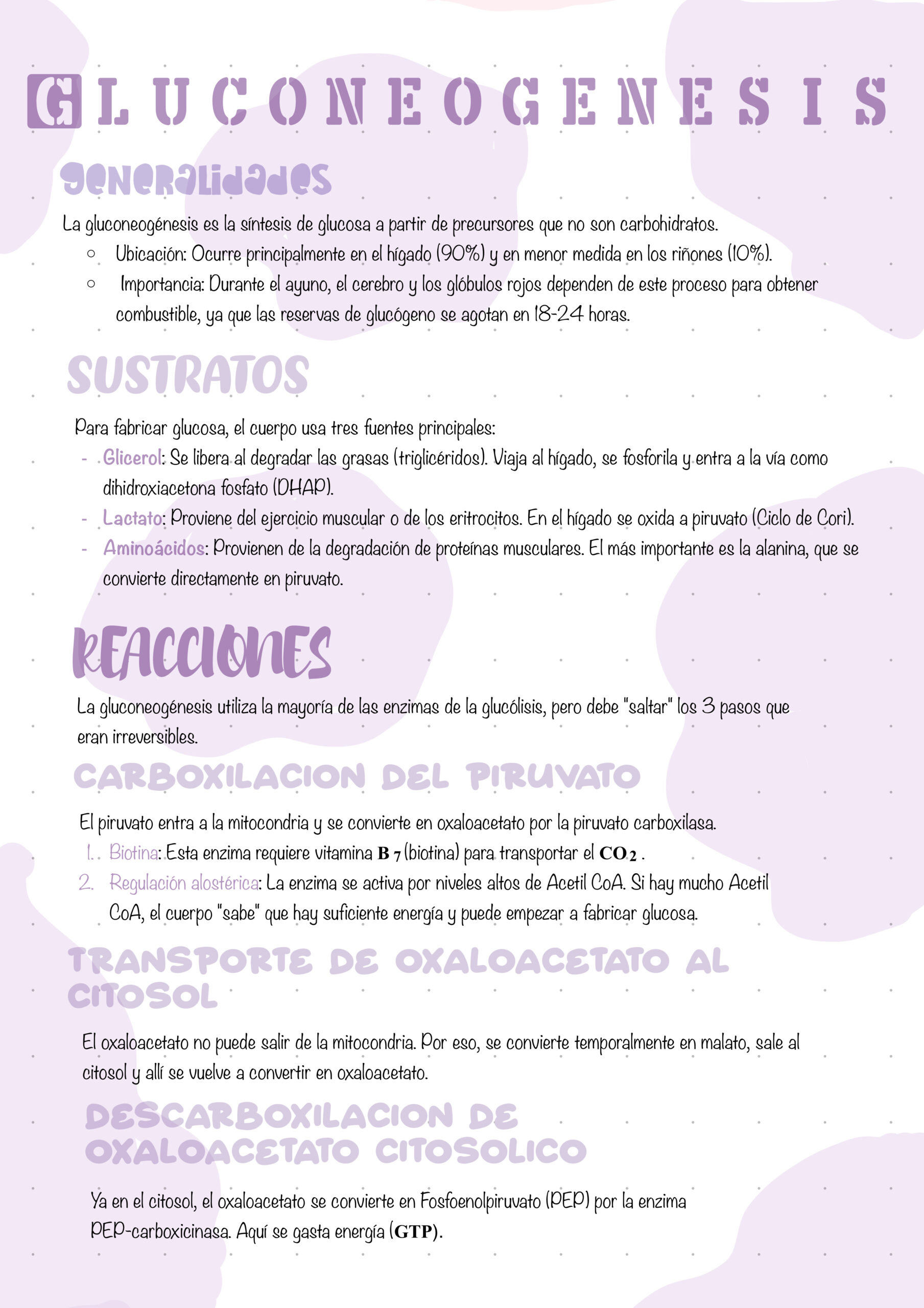 IMG_0946 Bioquimica