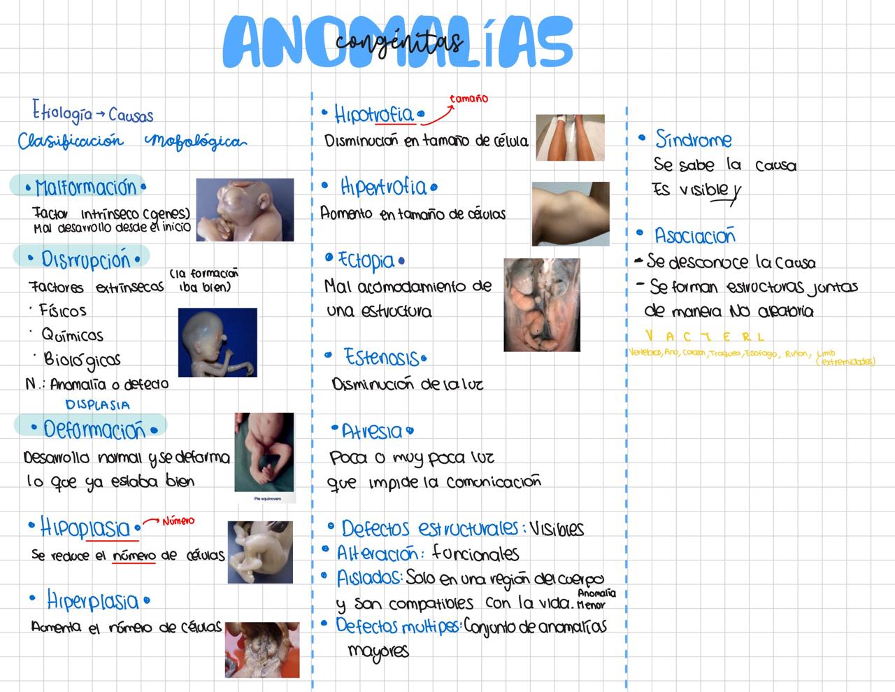 Guía Primer Parcial de Embriología- FACMED