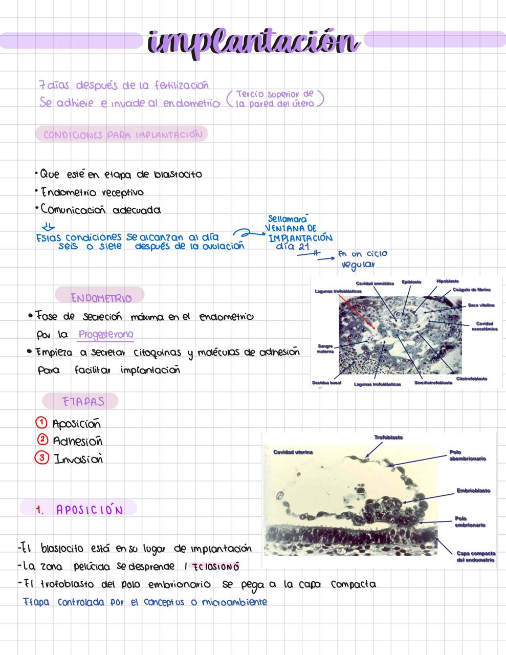 Guía Primer Parcial de Embriología- FACMED